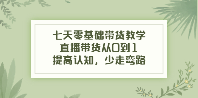 【副业项目4305期】七天零基础带货教学：直播带货从0到1，提高认知，少走弯路-荔枝网络