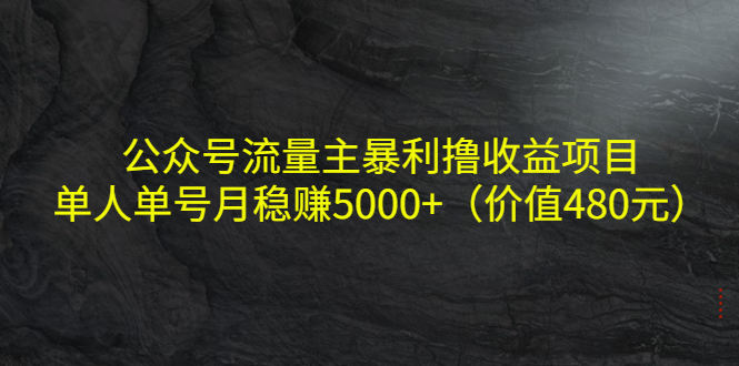 【副业项目4325期】公众号流量主暴利撸收益项目，单人单号月稳赚5000+（价值480元-荔枝网络
