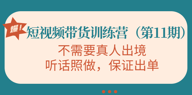 【副业项目4328期】短视频带货训练营（第11期），不需要真人出境，听话照做，保证出单-荔枝网络