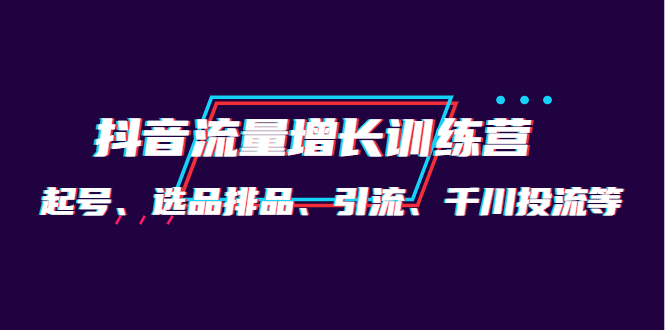 【副业项目4335期】月销1.6亿实操团队·抖音流量增长训练营：起号、选品排品、引流 千川投流等-荔枝网络