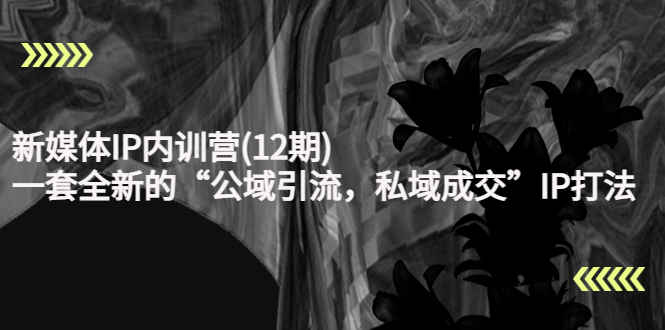 【副业项目4405期】新媒体IP内训营(12期)：一套全新的“公域引流，私域成交”IP打法，直接带走-荔枝网络
