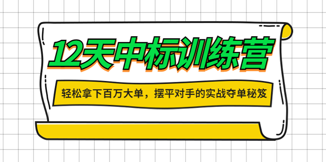 【副业项目4416期】12天中标训练营：轻松拿下百万大单，摆平对手的实战夺单秘笈-荔枝网络