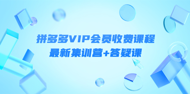 【副业项目4426期】某社群·拼多多VIP会员收费课程，最新集训营+答疑课-价值3299元-荔枝网络
