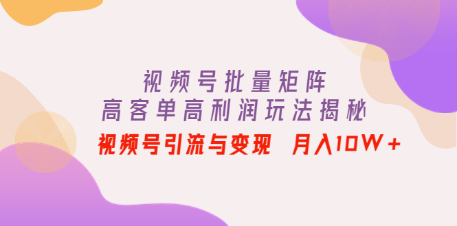 【副业项目4488期】视频号批量矩阵的高客单高利润玩法揭秘： 视频号引流与变现 月入10W+-荔枝网络