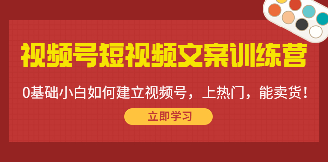 【副业项目4549期】视频号短视频文案训练营：0基础小白如何建立视频号，上热门，能卖货-荔枝网络