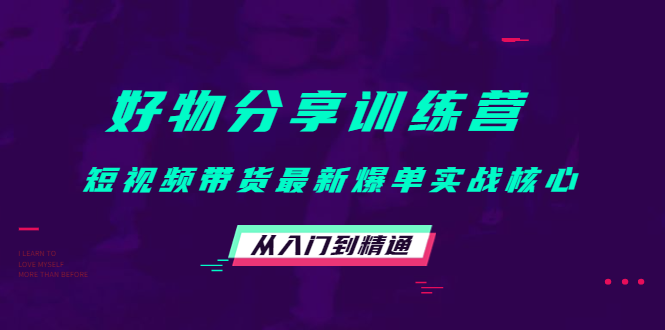 【副业项目4585期】好物分享训练营：短视频带货最新爆单实战核心，从入门到精通-荔枝网络