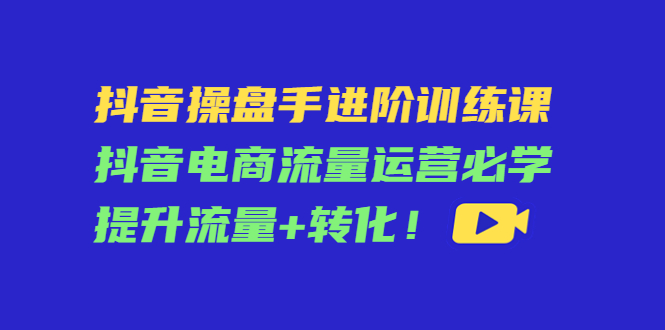 【副业项目4600期】抖音操盘手进阶训练课：抖音电商流量运营必学，提升流量+转化-荔枝网络
