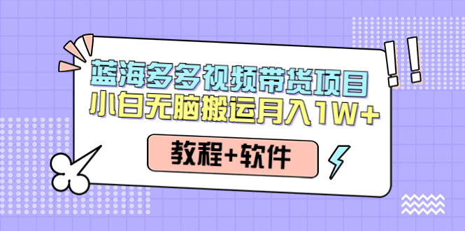 【副业项目4612期】人人都能操作的蓝海多多视频带货项目 小白无脑搬运月入10000+（教程+软件）-荔枝网络