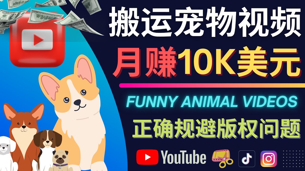 【副业项目4509期】搬运TIKTOK视频到YouTube，并进行二次创作，月赚1万美元以上-荔枝网络