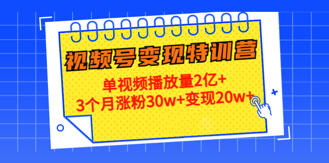 【副业项目4713期】20天视频号变现特训营：单视频播放量2亿+3个月涨粉30w+变现20w+-荔枝网络