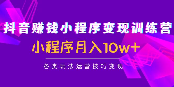 【副业项目4765期】抖音赚钱小程序变现训练营：小程序月入10w+各类玩法运营技巧变现-荔枝网络