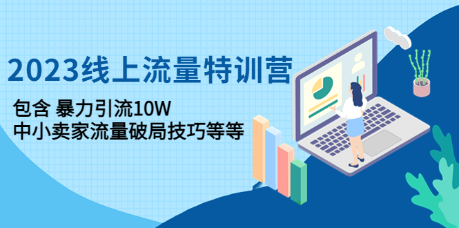 【副业项目4809期】2023线上流量特训营：包含暴力引流10W+中小卖家流量破局技巧等等-荔枝网络