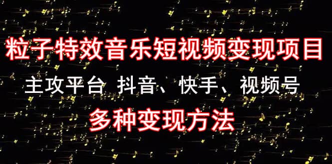 【副业项目4821期】《粒子特效音乐短视频变现项目》主攻平台 抖音、快手、视频号 多种变现方法-荔枝网络