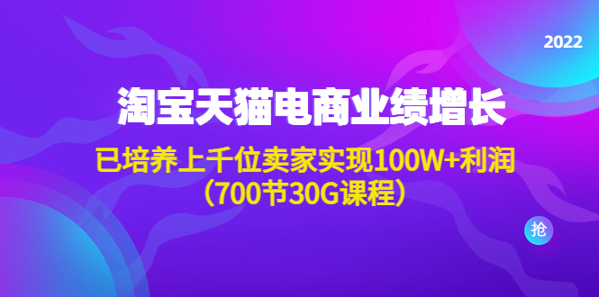 【副业项目4675期】淘系天猫电商业绩增长：已培养上千位卖家实现100W+利润（700节30G课程）-荔枝网络