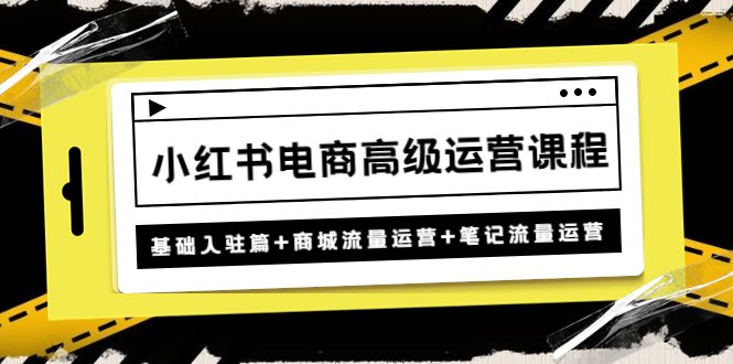 【副业项目4879期】小红书电商高级运营课程：基础入驻篇+商城流量运营+笔记流量运营-荔枝网络