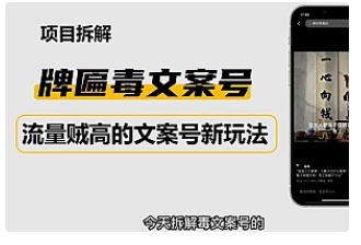 【副业项目4912期】2023抖音快手毒文案新玩法，牌匾文案号，起号快易变现-荔枝网络