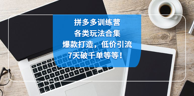 【副业项目4925期】拼多多训练营：各玩法合集，爆款打造，低价引流，7天破千单等等-荔枝网络