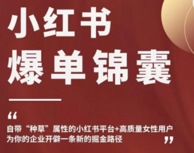 【副业项目4942期】小红书爆单锦囊，自带种草属性+高质量女性用户，为你的企业开辟一条新的掘金路径-荔枝网络