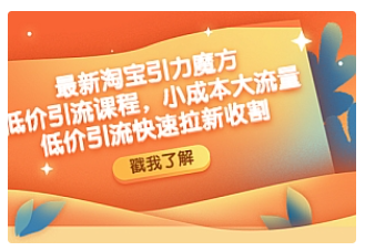 【副业项目4943期】最新淘宝引力魔方低价引流实操：小成本大流量，低价引流快速拉新收割-荔枝网络