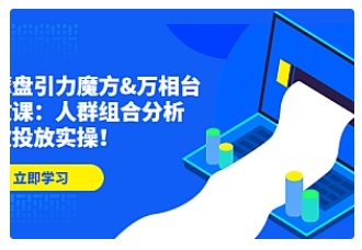 【副业项目4944期】达摩盘引力魔方&万相台投放课：人群组合分析，高效投放实操-荔枝网络