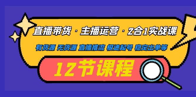 【副业项目5158期】直播带货·主播运营2合1实战课 有货源 无货源 直播推流 极速起号 稳定出单-荔枝网络
