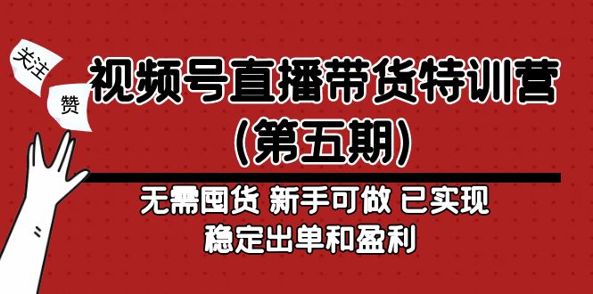 【副业项目5139期】视频号直播带货特训营(第五期)无需囤货 新手可做 已实现稳定出单和盈利-荔枝网络