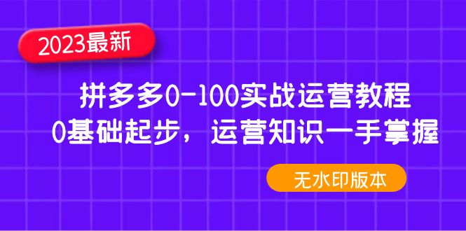 【副业项目5048期】2023拼多多0-100实战运营教程,0基础起步,运营知识一手掌握-荔枝网络