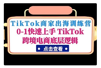 【副业项目5013期】TikTok商家出海训练营：0-1快速上手 TikTok跨境电商底层逻辑-荔枝网络