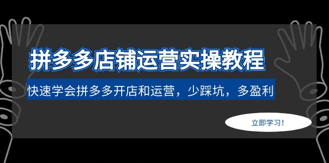 【副业项目5088期】拼多多店铺运营实操教程：快速学会拼多多开店和运营，少踩坑，多盈利-荔枝网络