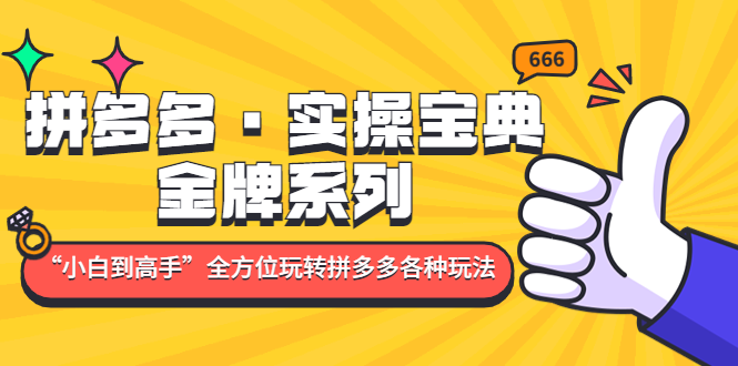 【副业项目5130期】拼多多·实操宝典：金牌系列“小白到高手”带你全方位玩转拼多多各种玩法-荔枝网络