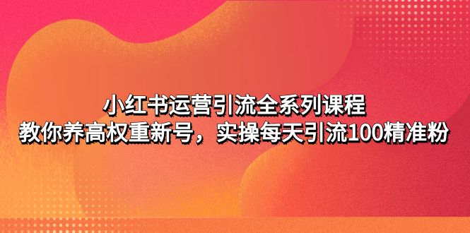 【副业项目5144期】小红书运营引流全系列课程：教你养高权重新号，实操每天引流100精准粉-荔枝网络