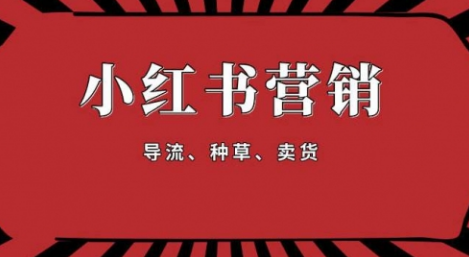 【副业项目1917期】手把手教做小红书帐号，一篇笔记涨粉10000，月入十万的博主秘笈-荔枝网络