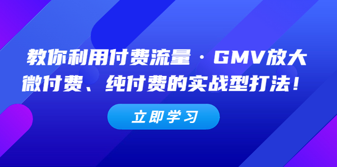 【副业项目5265期】教你利用付费流量·GMV放大，微付费、纯付费的实战型打法-荔枝网络