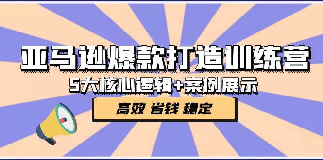 【副业项目5266期】亚马逊爆款打造训练营：5大核心逻辑+案例展示 打造爆款链接 高效 省钱 稳定-荔枝网络