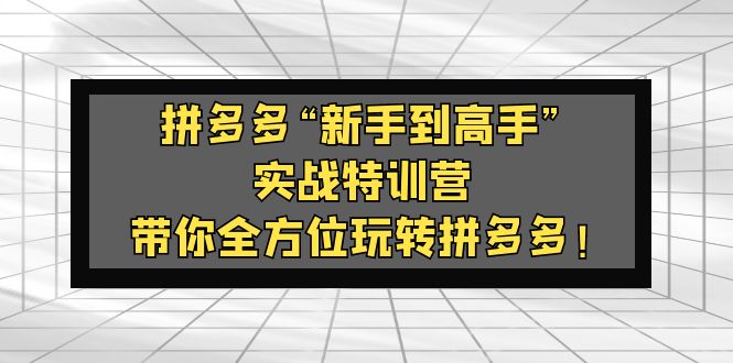 【副业项目5317期】拼多多“新手到高手”实战特训营：带你全方位玩转拼多多-荔枝网络