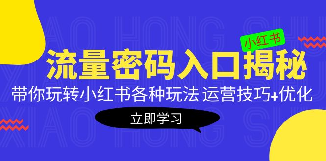 【副业项目5322期】小红书流量密码入口揭秘：带你玩转小红书各种玩法 运营技巧+优化-荔枝网络