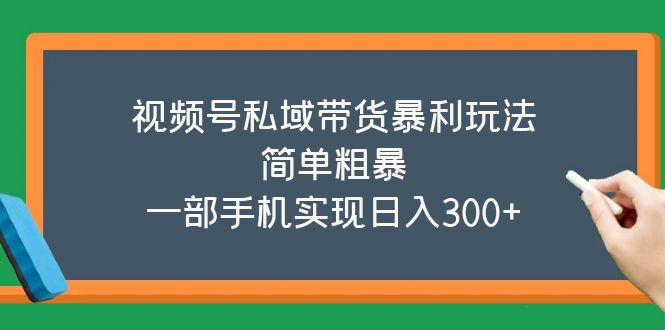 【副业项目5627期】视频号私域带货暴利玩法，简单粗暴，一部手机实现日入300+-荔枝网络