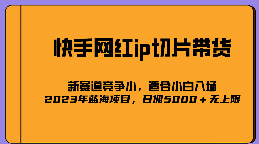 【副业项目5464期】2023爆火的快手网红IP切片，号称日佣5000＋的蓝海项目，二驴的独家授权-荔枝网络
