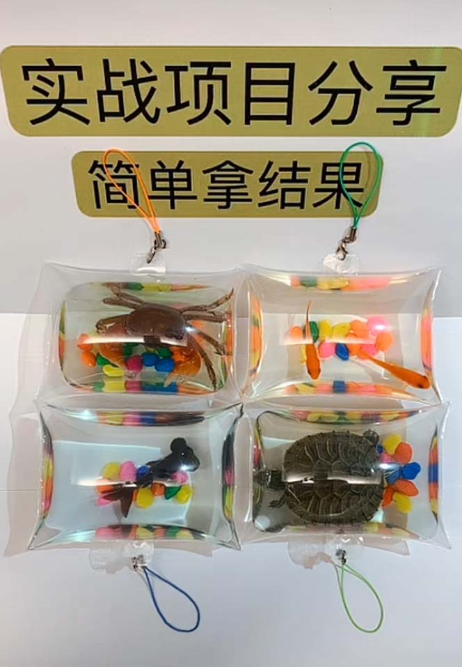 【副业项目5502期】最近抖音很火的泡泡鱼手工小成本地摊创业项目,日賺500+项目课程解析插图2 【副业项目5502期】最近抖音很火的泡泡鱼手工小成本地摊创业项目,日賺500+项目课程解析插图2