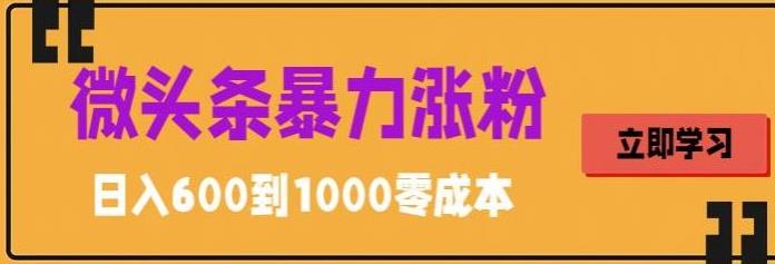 【副业项目5970期】微头条暴力涨粉技巧搬运文案就能涨几万粉丝，简单0成本，日赚600-荔枝网络