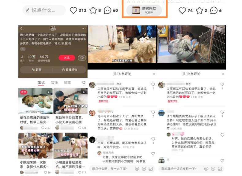 【副业项目5898期】小红书蓝海类赛道:小动物打赏与购买变现副业项目,一条龙玩法分享给你!-荔枝网络