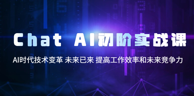 【副业项目5685期】Chat AI初阶实战课，AI时代技术变革 未来已来 提高工作效率和未来竞争力-荔枝网络