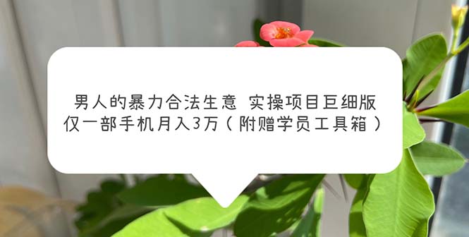 【副业项目5982期】男人的暴力合法生意实操项目巨细版：仅一部手机月入3w（附赠学员工具箱）-荔枝网络