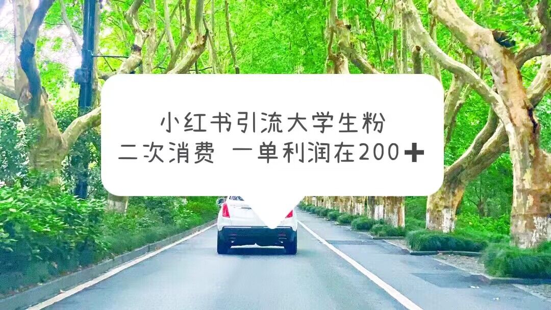 【副业项目5937期】小红书引流大学生粉,变现项目,一单利润在200+(教程+资源)-荔枝网络