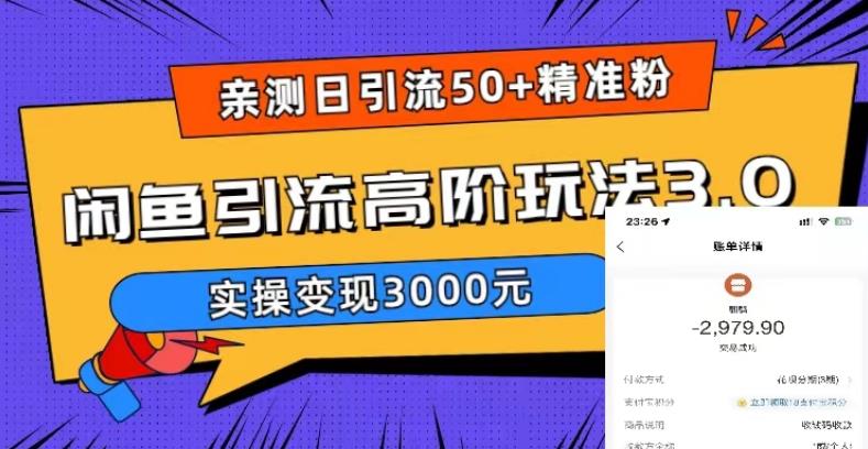 【副业项目5795期】实测日引50+精准粉，闲鱼引流高阶玩法3.0，实操变现3000元-荔枝网络