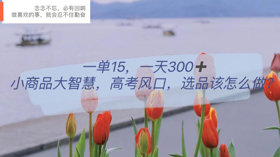 【副业项目6119期】一单15，一天300+，小商品大智慧，高考风口，选品该怎么布局-荔枝网络