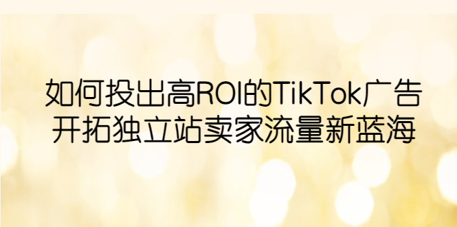 【副业项目6124期】如何投出高ROI·TikTok广告,开拓独立站卖家流量新蓝海-荔枝网络