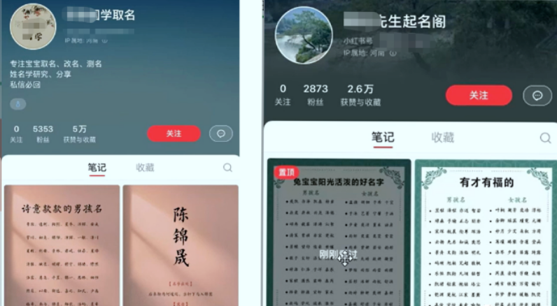 【副业项目6232期】【新课】冷门暴利项目：给宝宝起名（一单200+）内附教程+工具-荔枝网络