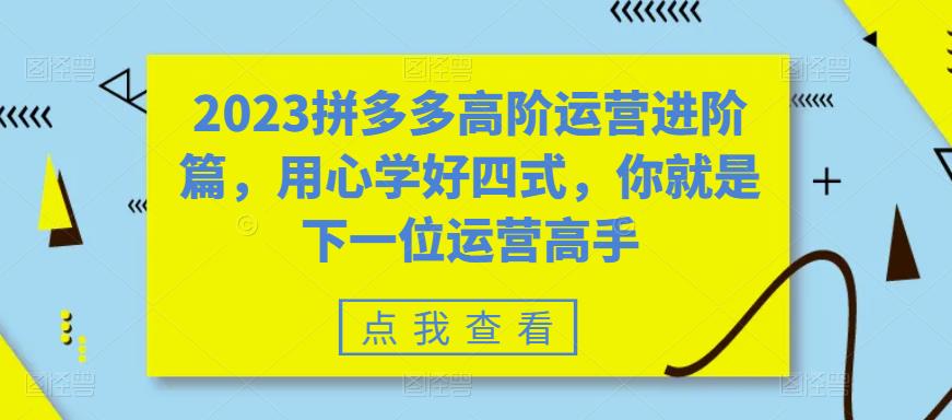 【副业项目6241期】2023拼多多高阶运营进阶篇，用心学好四式，你就是下一位运营高手-荔枝网络