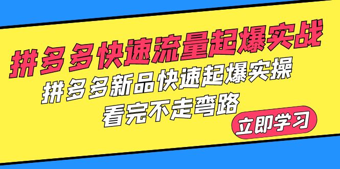 【副业项目6310期】拼多多-快速流量起爆实战，拼多多新品快速起爆实操，看完不走弯路-荔枝网络